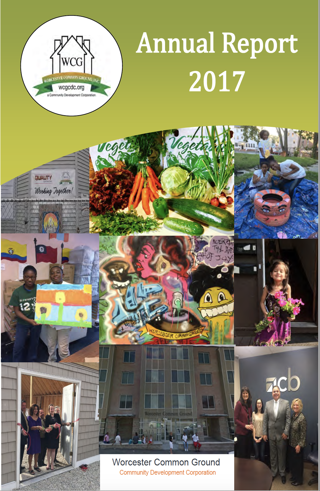 Read more about the article 2017 Annual Report