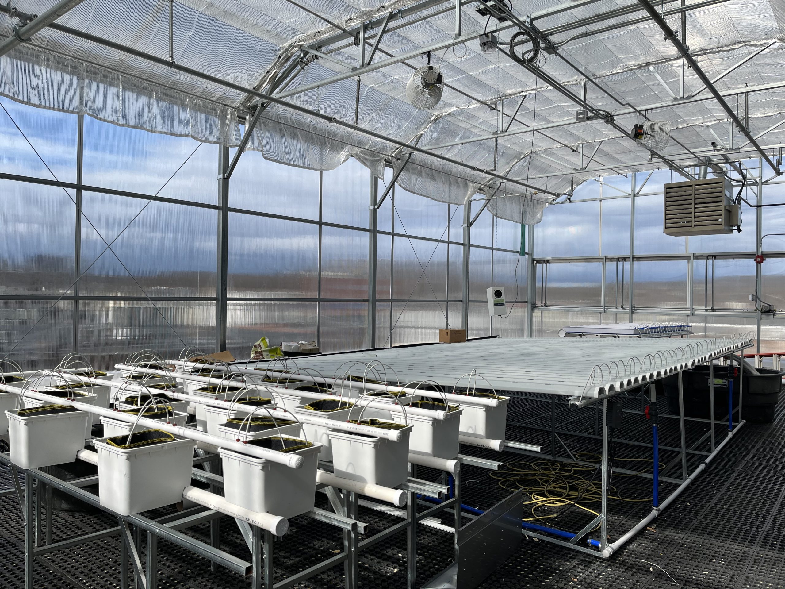 Read more about the article WCG’s Greenhouse Is Highlighted